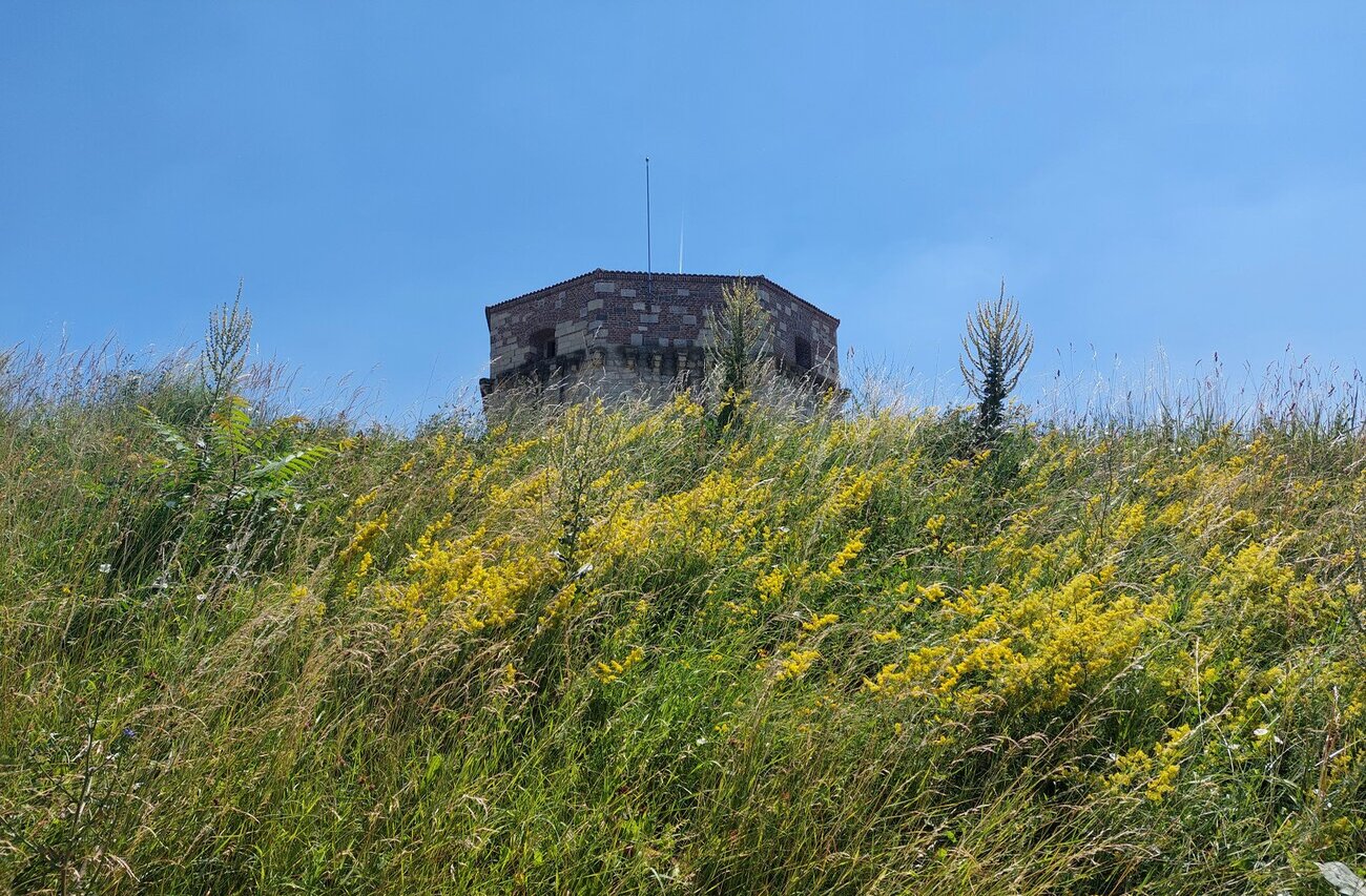 Kula Nebojša u prolećnom cveću, pogled sa obale