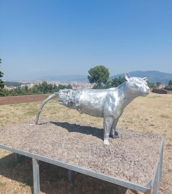Skulptura Nico Vasccelari, Firenca